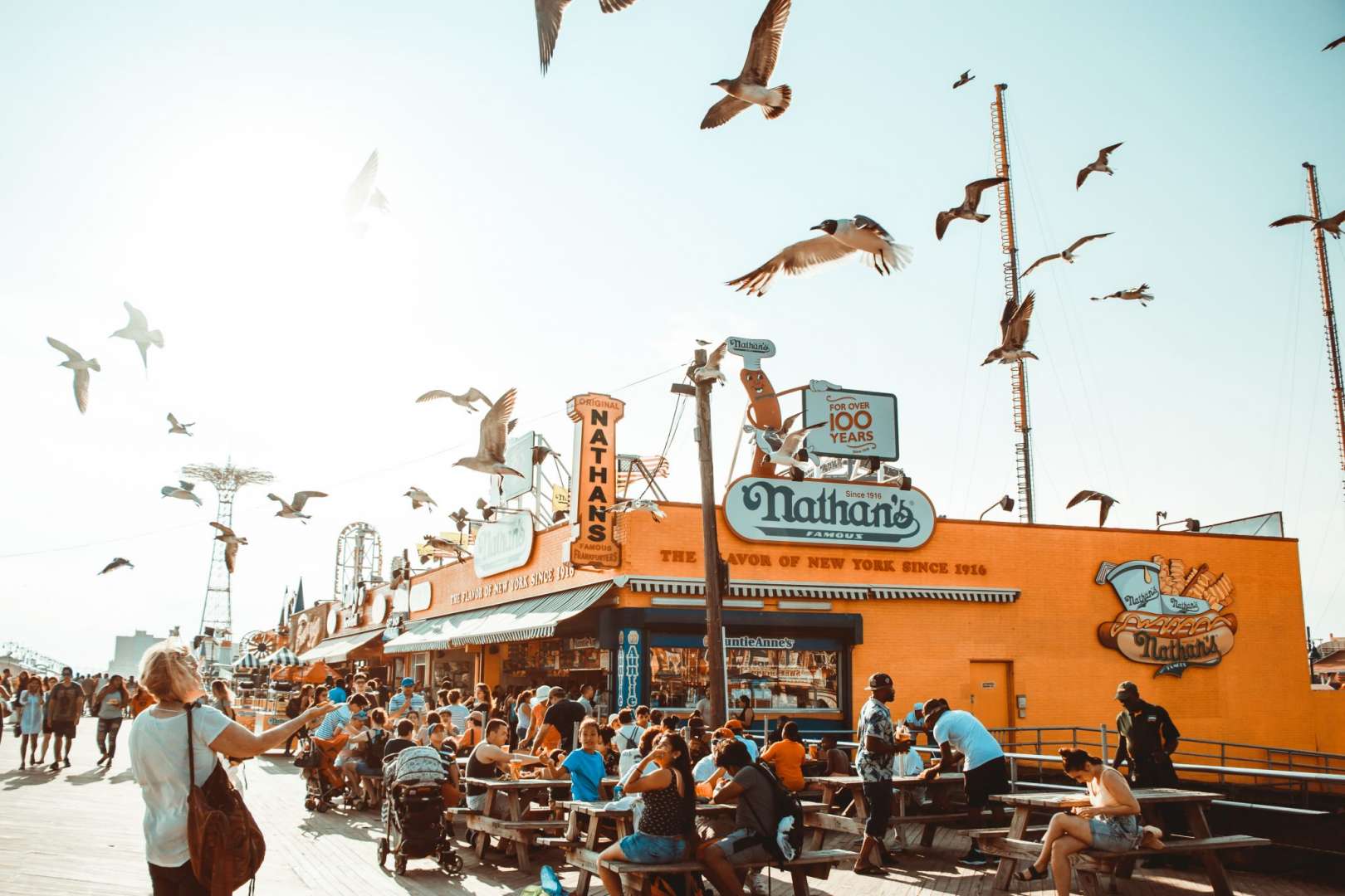 Seagulls Flying Near and American Diner