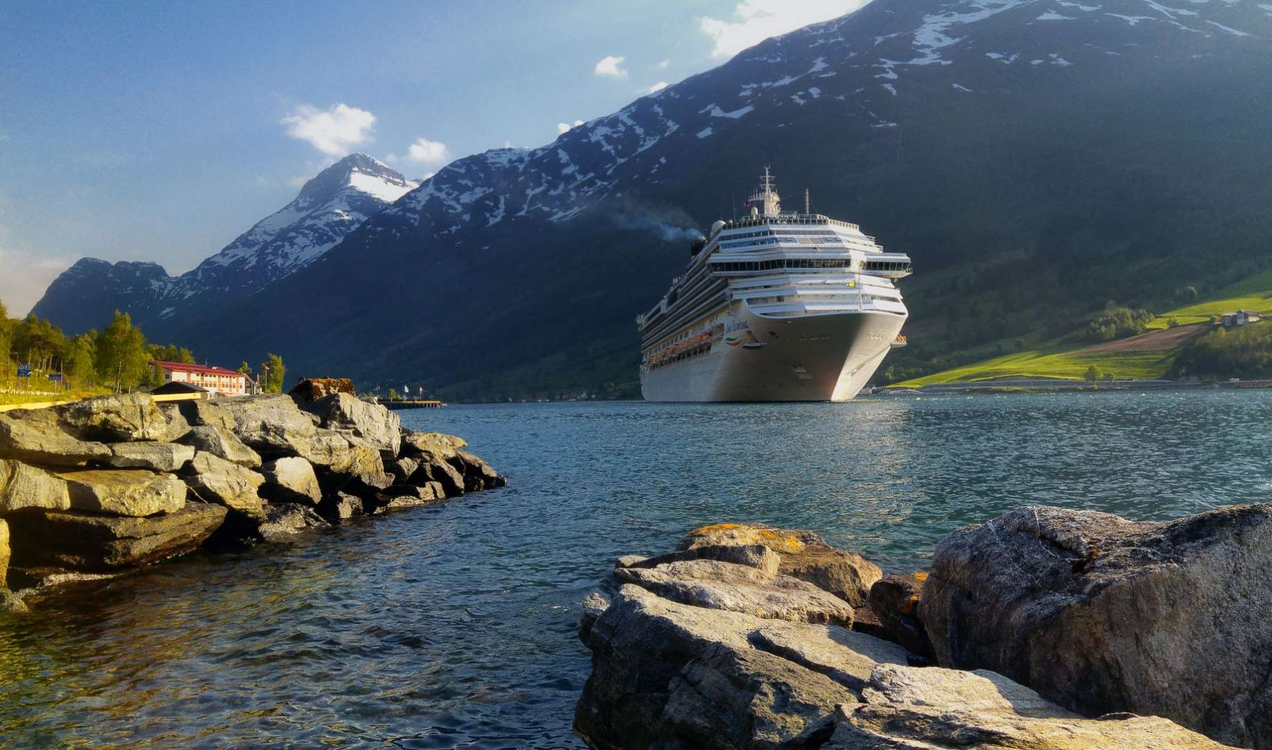 cruises-back