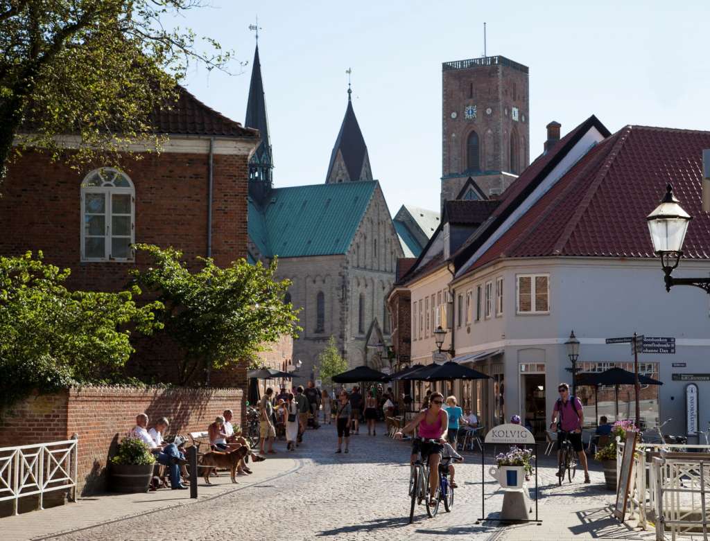 Ribe