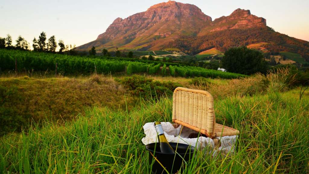 reasons-to-visit-south-africa-wine