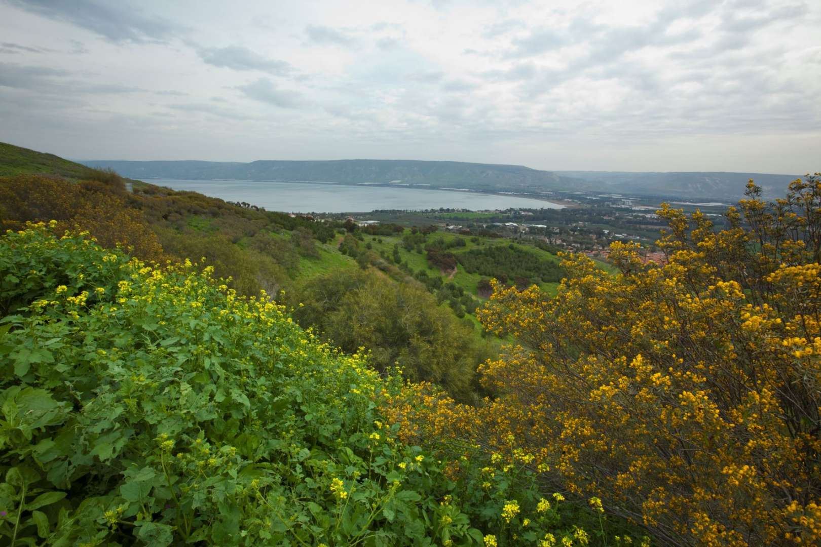 reasons-to-visit-israel-galilee