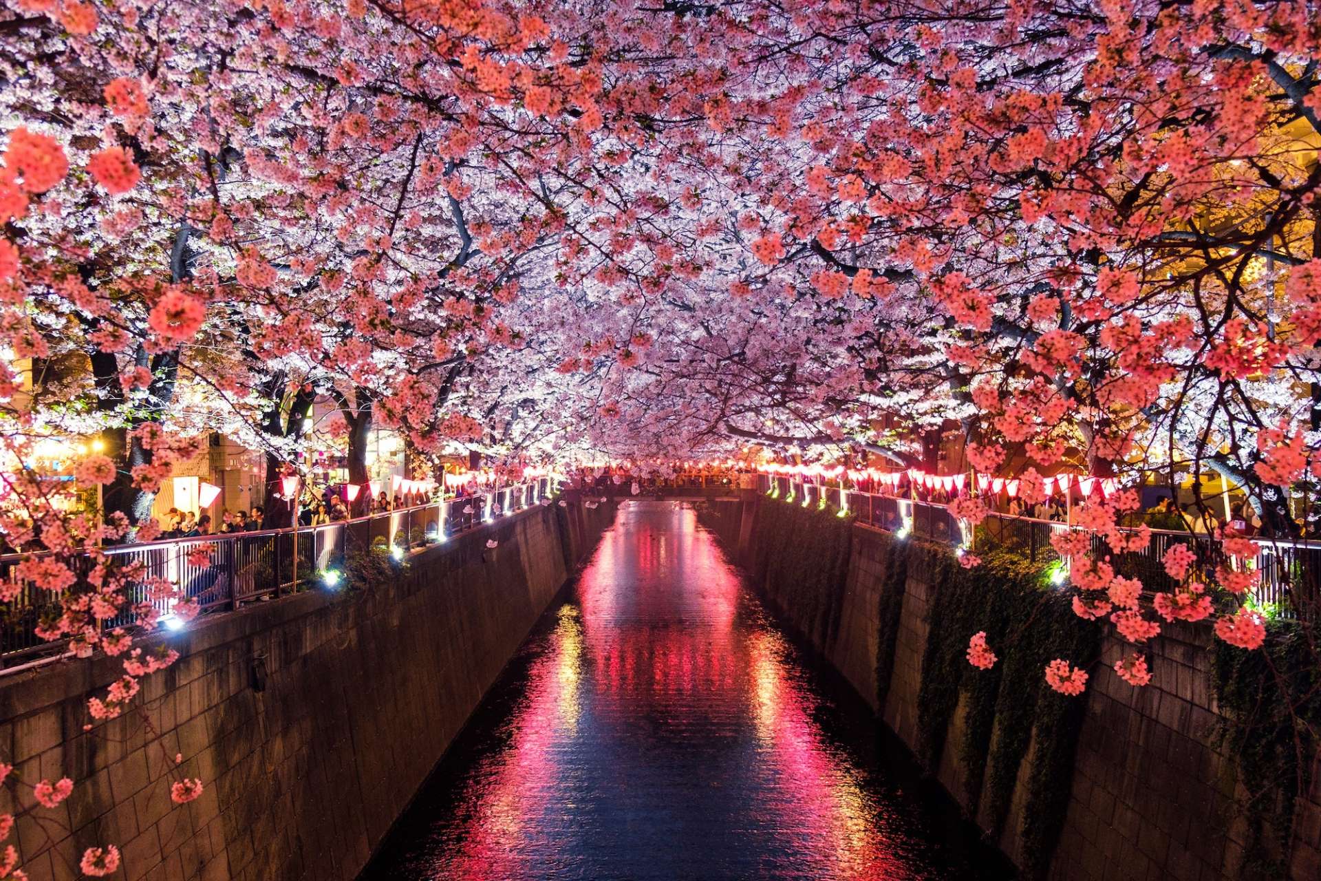 reasons-to-visit-japan-festivals
