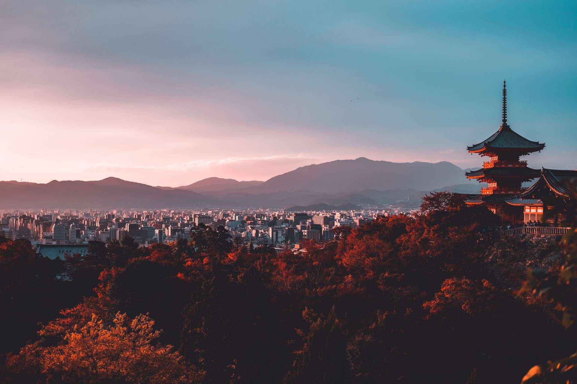 reasons-to-visit-japan