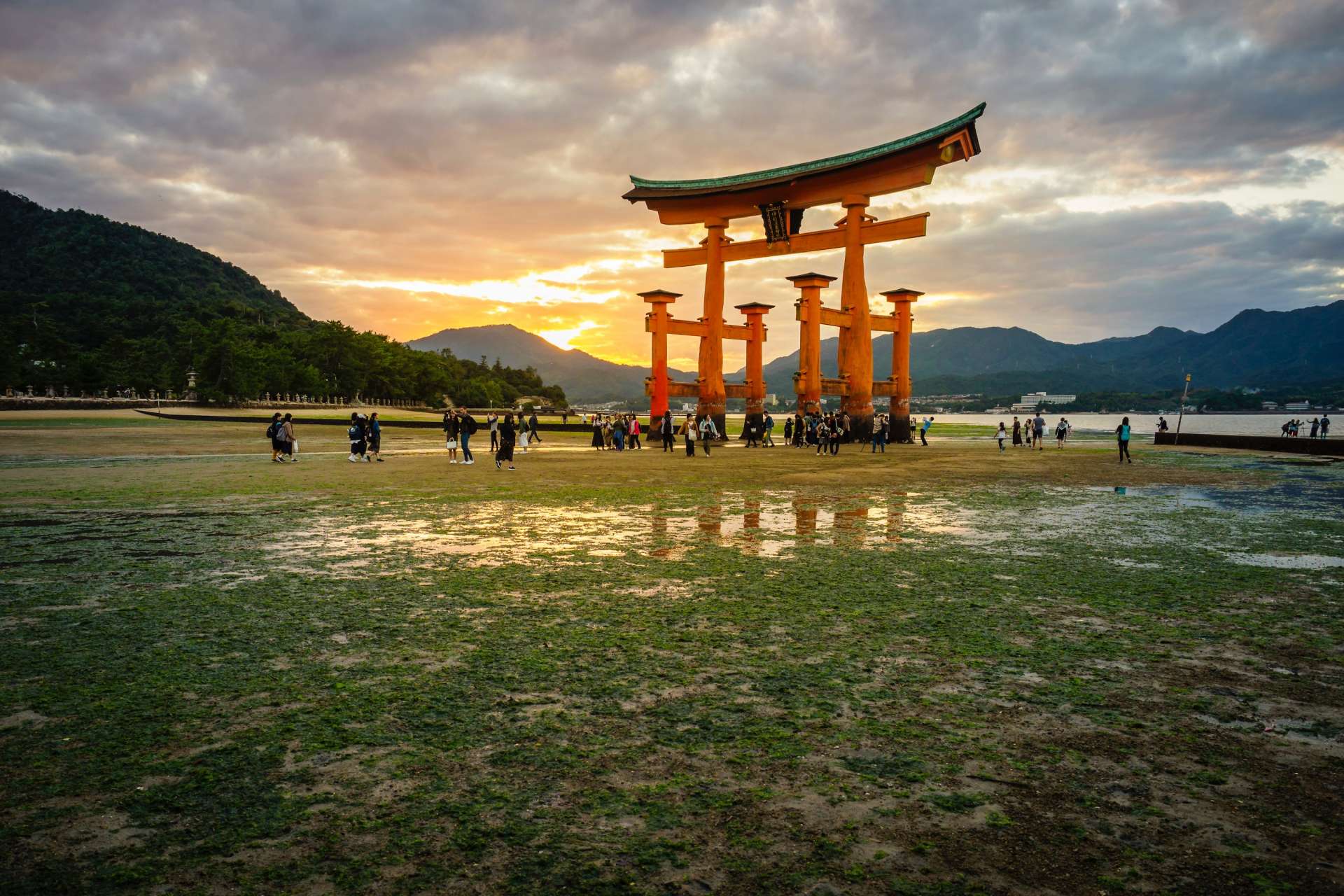 reasons-to-visit-japan-world-heritage
