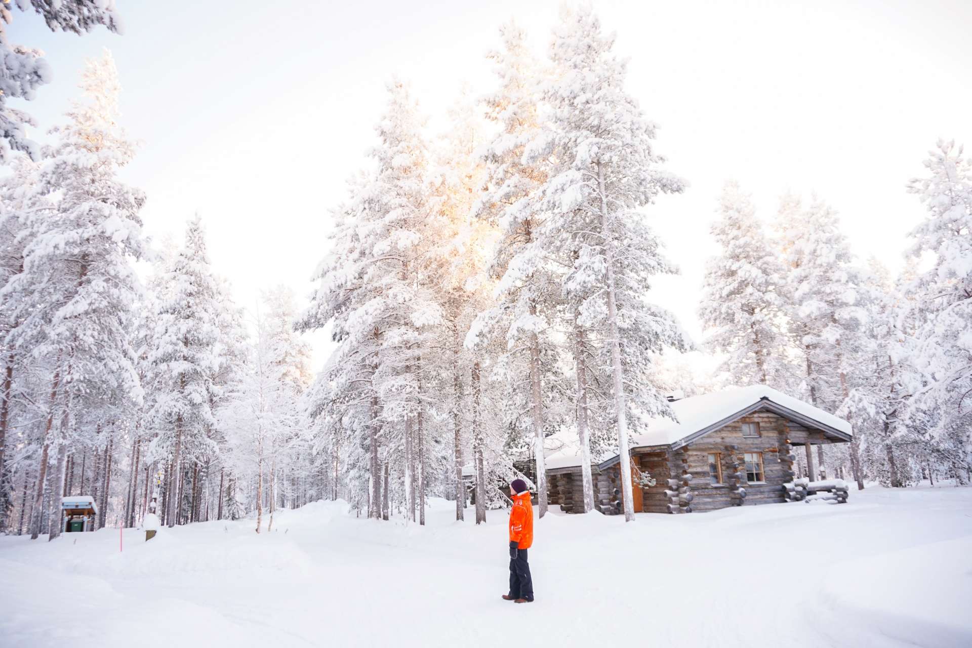 visit-lapland