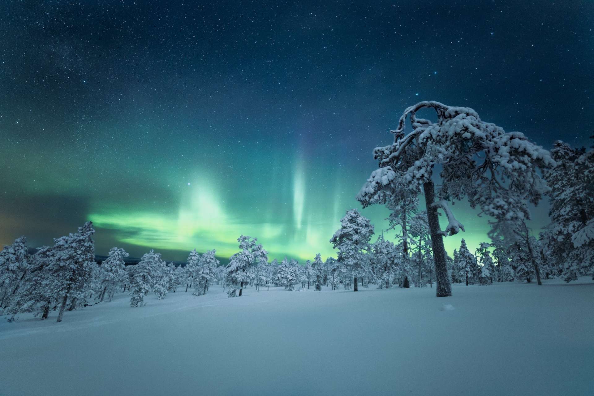 why-you-need-to-visit-lapland-lights