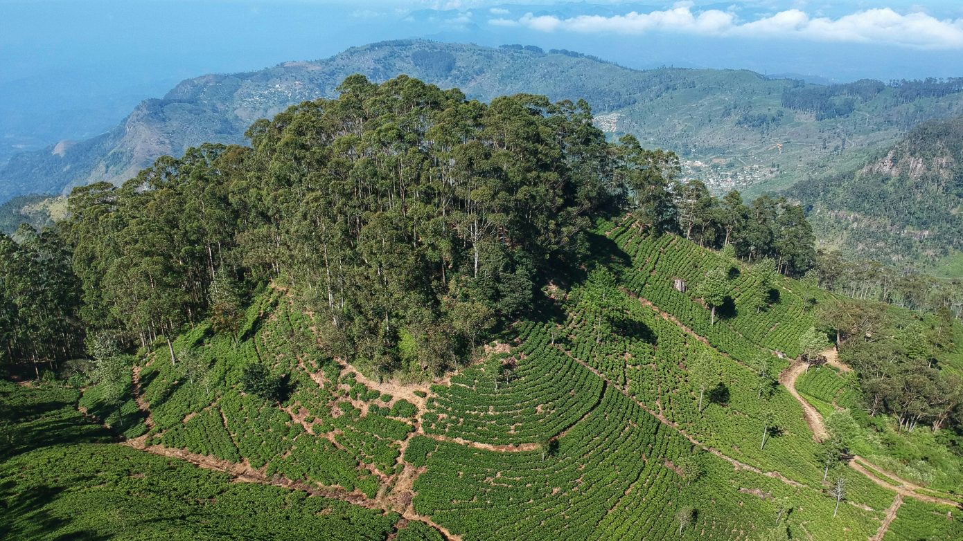 sri lanka